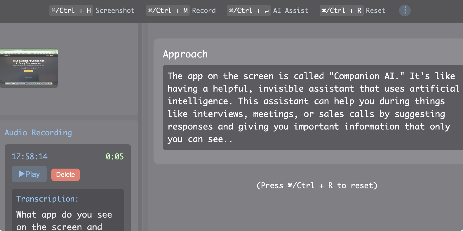 Companion AI Interface